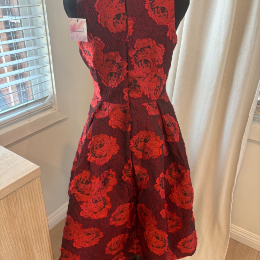 Chicwish - Picture 4 of 4